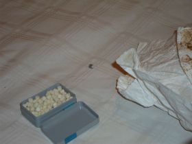 SAM_0207.JPG